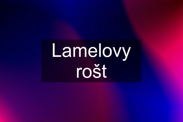 Lamelovy rošt