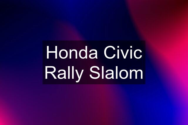 Honda Civic Rally Slalom