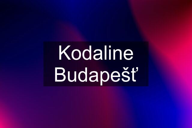 Kodaline Budapešť