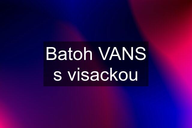 Batoh VANS s visackou