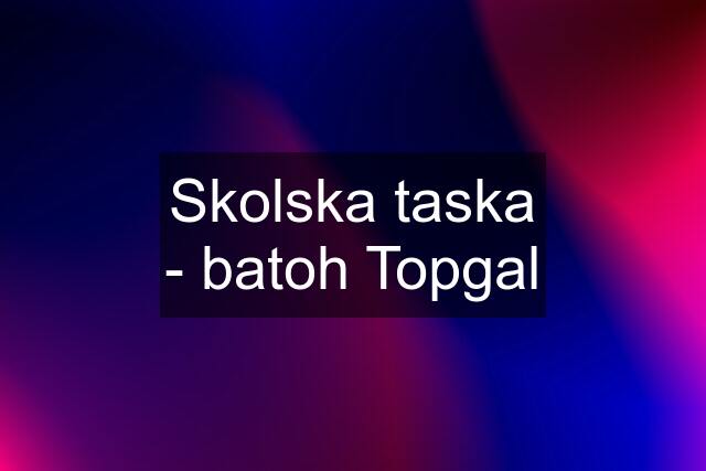 Skolska taska - batoh Topgal