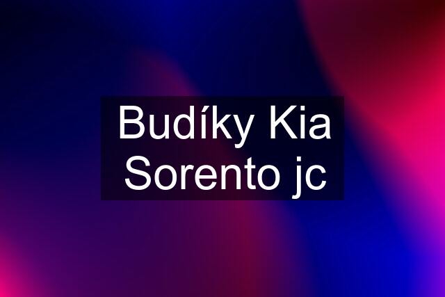 Budíky Kia Sorento jc