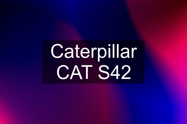 Caterpillar CAT S42
