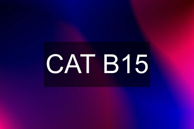 CAT B15