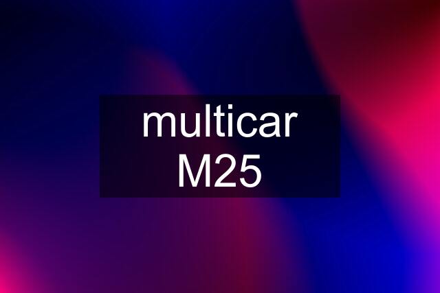 multicar M25