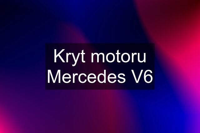 Kryt motoru Mercedes V6