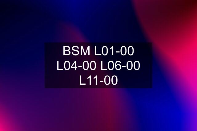 BSM L01-00 L04-00 L06-00 L11-00