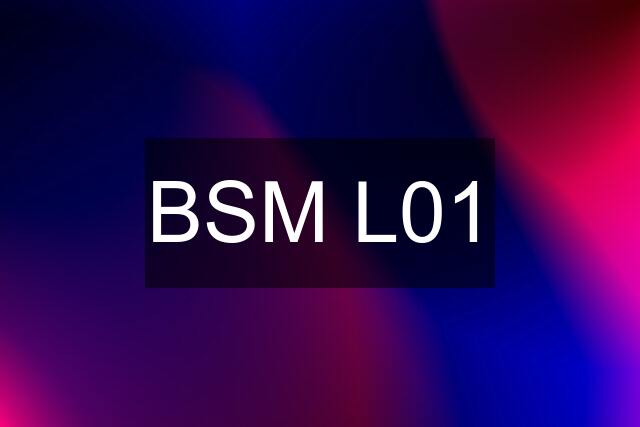 BSM L01