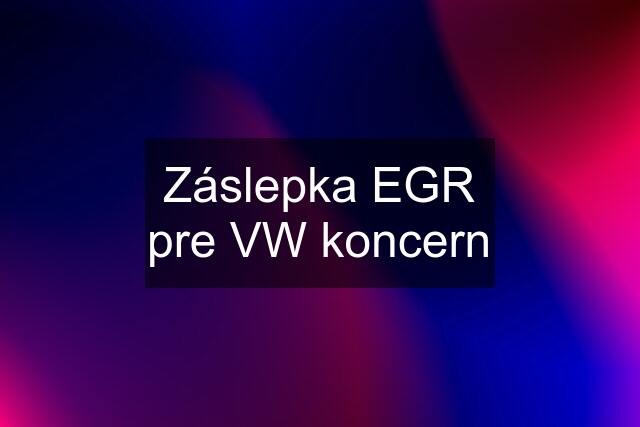 Záslepka EGR pre VW koncern