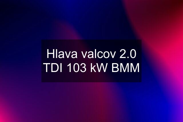 Hlava valcov 2.0 TDI 103 kW BMM