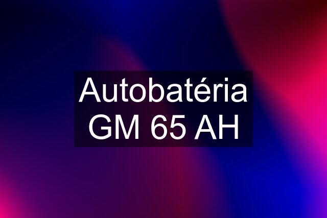 Autobatéria GM 65 AH