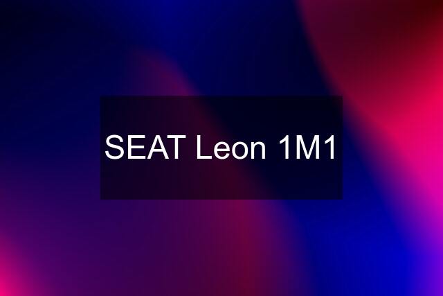 SEAT Leon 1M1