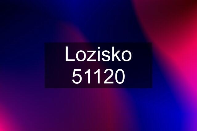 Lozisko 51120