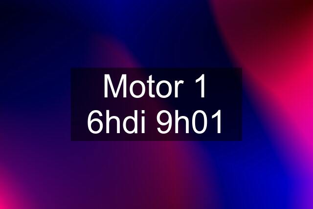 Motor 1 6hdi 9h01