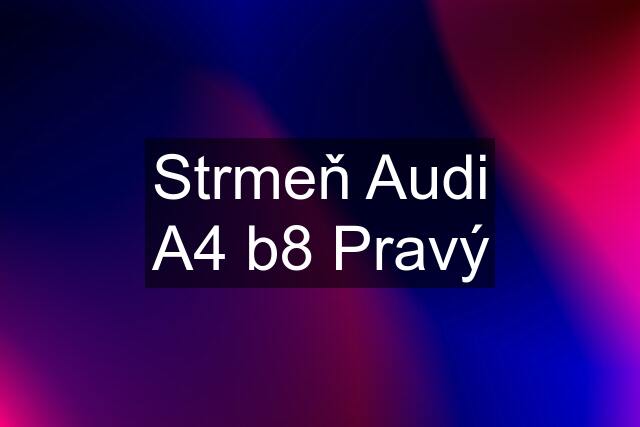 Strmeň Audi A4 b8 Pravý