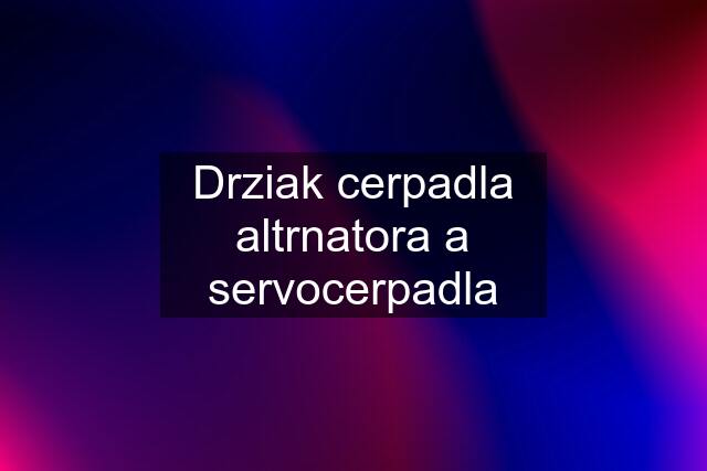 Drziak cerpadla altrnatora a servocerpadla