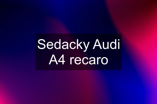 Sedacky Audi A4 recaro