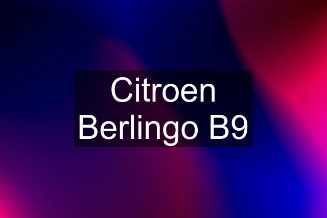 Citroen Berlingo B9