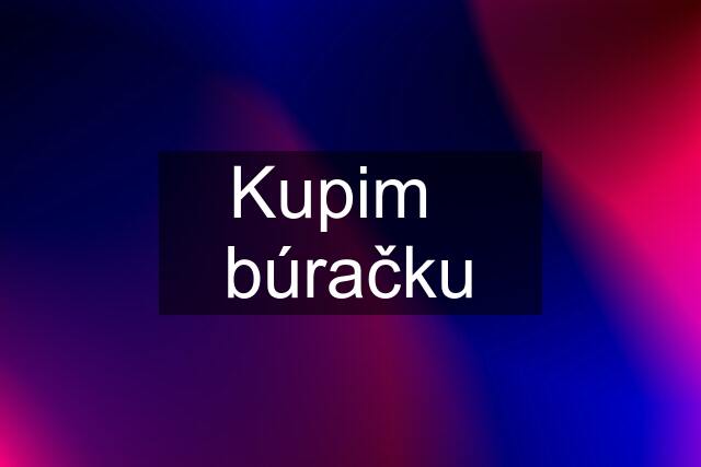 Kupim búračku