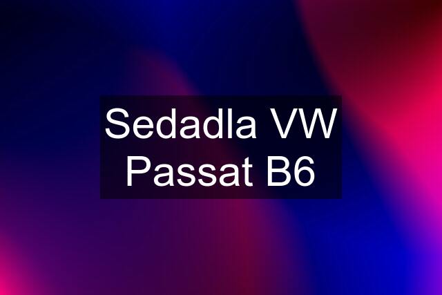 Sedadla VW Passat B6