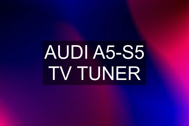 AUDI A5-S5 TV TUNER