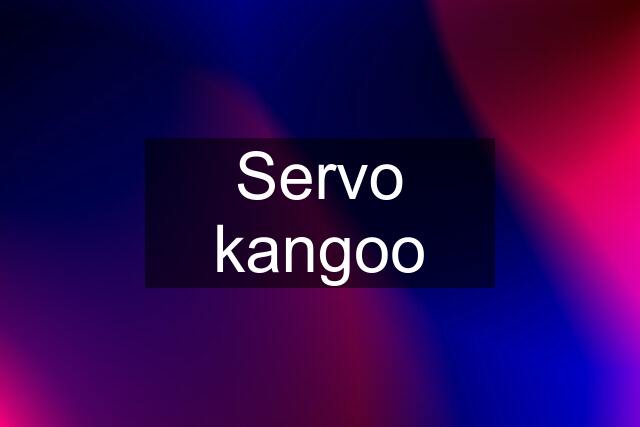 Servo kangoo