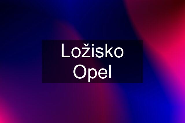 Ložisko Opel