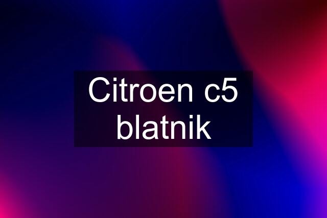 Citroen c5 blatnik