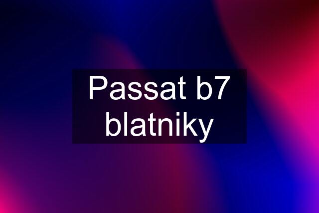 Passat b7 blatniky