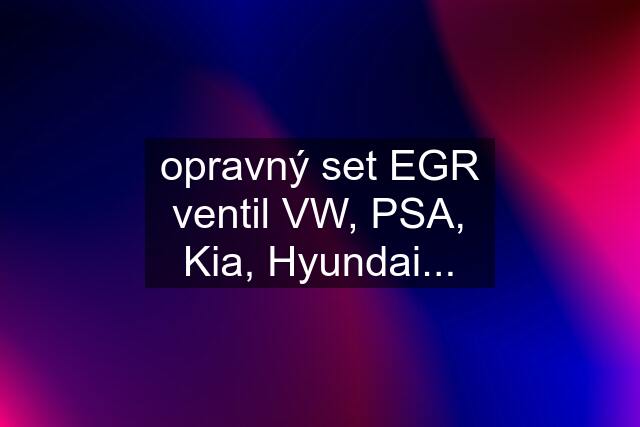 opravný set EGR ventil VW, PSA, Kia, Hyundai...