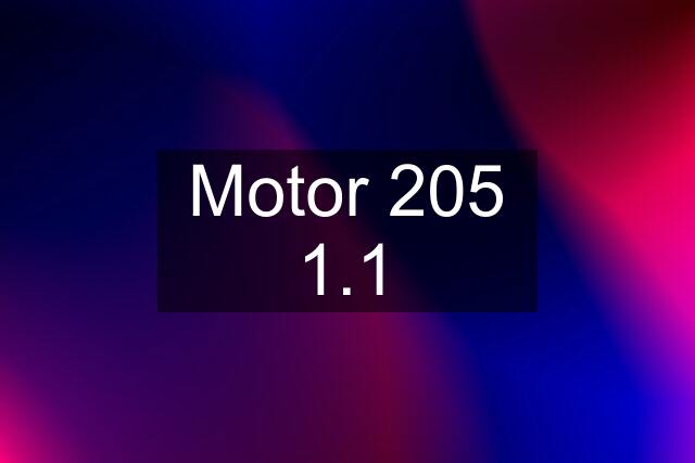 Motor 205 1.1