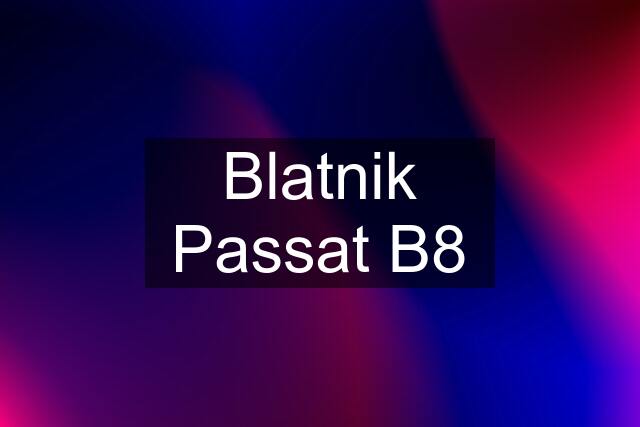 Blatnik Passat B8