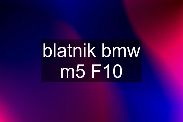 blatnik bmw m5 F10