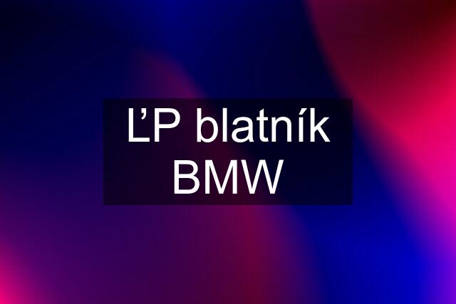 ĽP blatník BMW