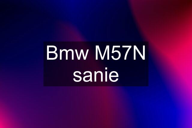 Bmw M57N sanie