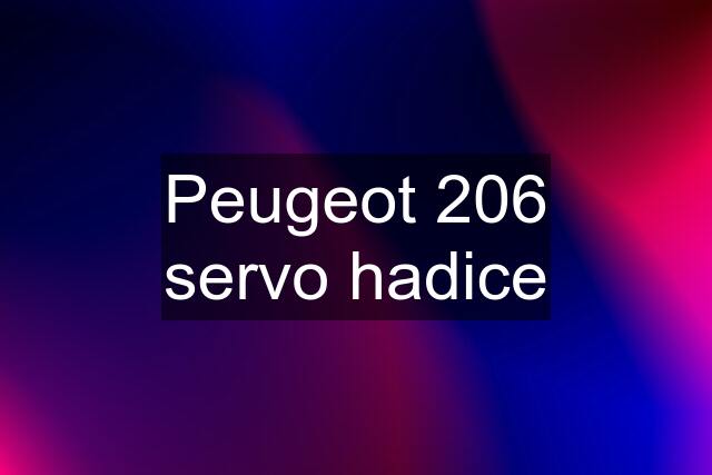 Peugeot 206 servo hadice