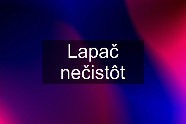 Lapač nečistôt