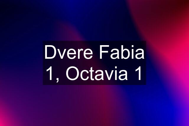 Dvere Fabia 1, Octavia 1