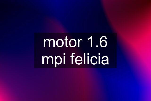 motor 1.6 mpi felicia