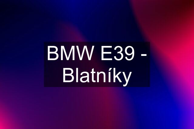 BMW E39 - Blatníky