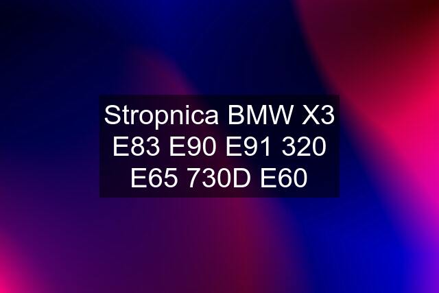 Stropnica BMW X3 E83 E90 E91 320 E65 730D E60