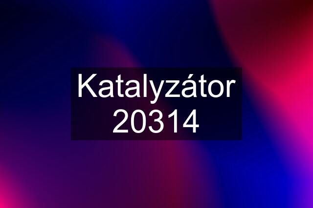 Katalyzátor 20314