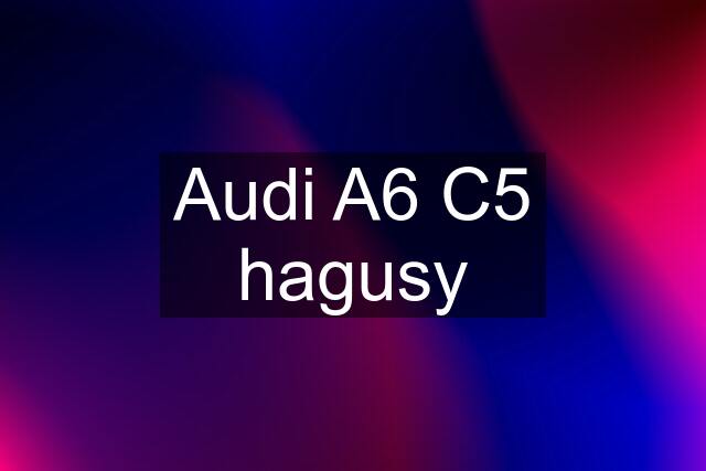 Audi A6 C5 hagusy
