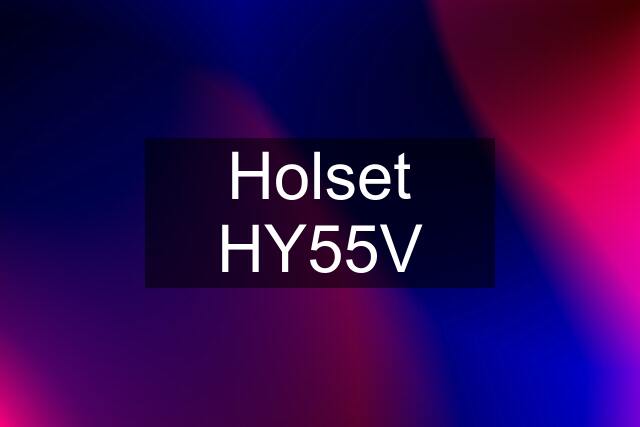 Holset HY55V