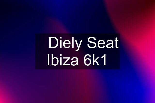 ◾️Diely Seat Ibiza 6k1