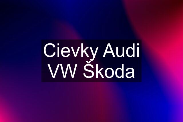 Cievky Audi VW Škoda