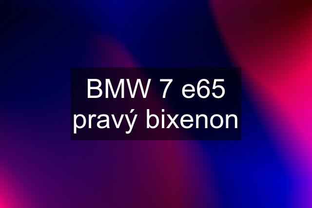 BMW 7 e65 pravý bixenon