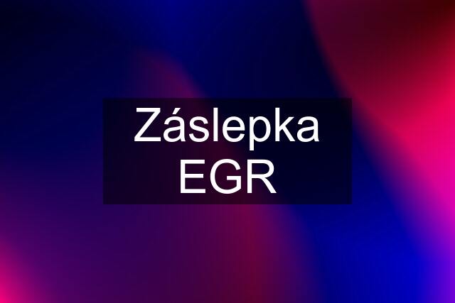 Záslepka EGR