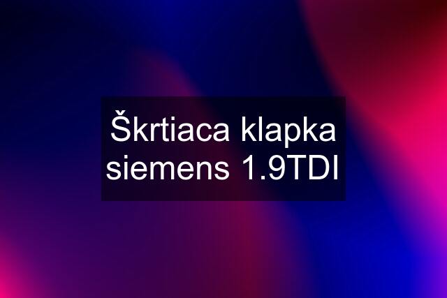 Škrtiaca klapka siemens 1.9TDI