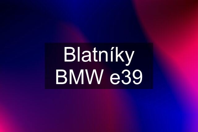 Blatníky BMW e39